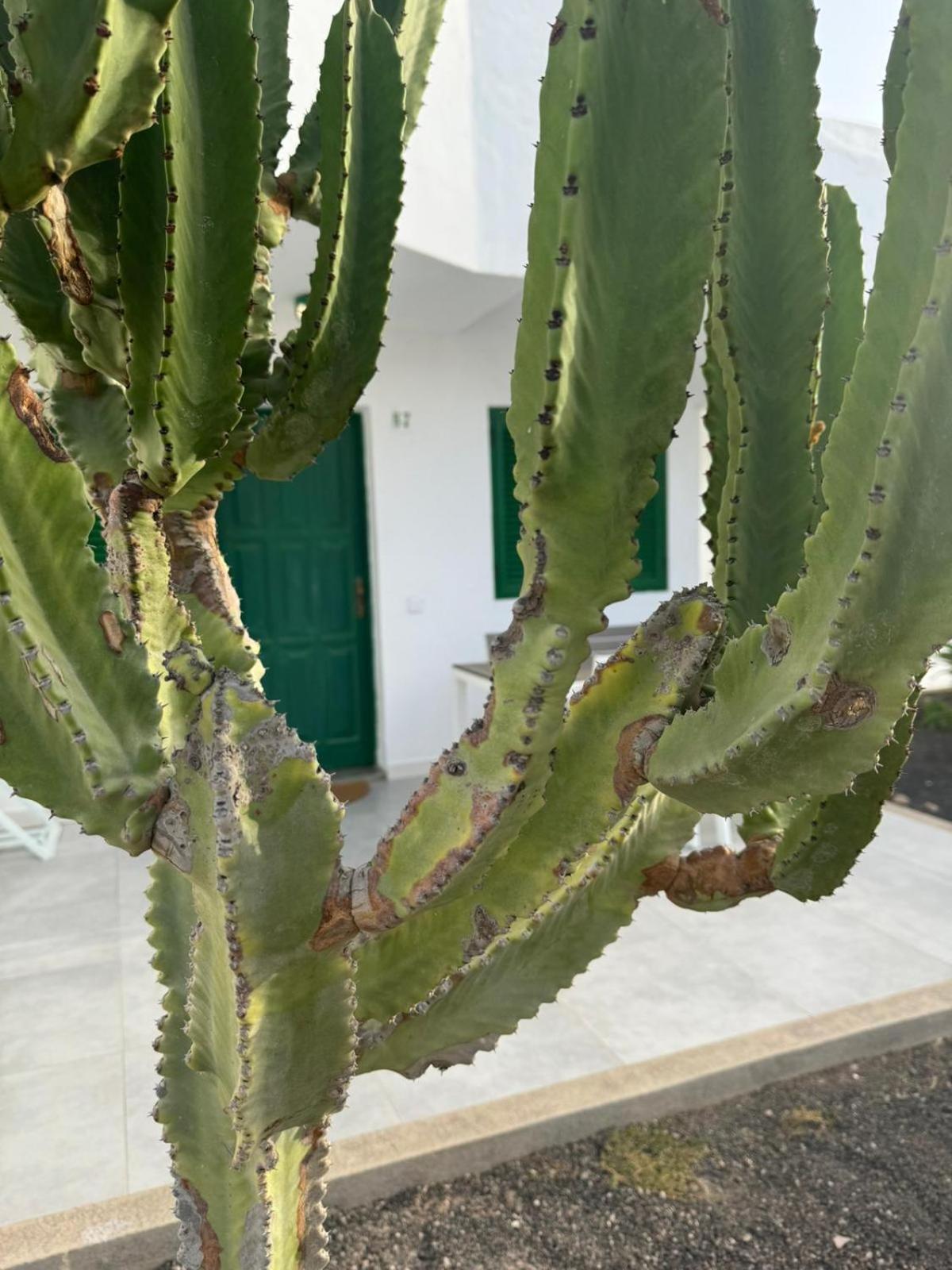 Cotillo Exterior photo